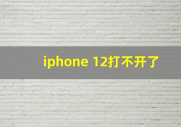 iphone 12打不开了